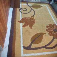 فرش4متری تمیز.گلیم فرش راهرو