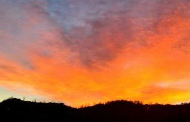 اگه خونه داری همخونه میشم