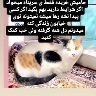 واگذاری رایگان