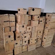 لانه راهب و گرین و عروس و مرع عشق