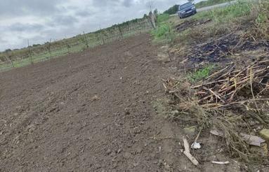 فروش زمین کشاورزی 4000 متر در نجارکلا جدید