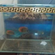 آکواریوم شیشه خم