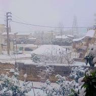 معاوضه و فروش زمین درساری