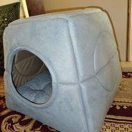 جای خواب گربه و سگ