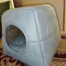 جای خواب گربه و سگ