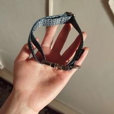 گردنی و قلاده سگ و گربه