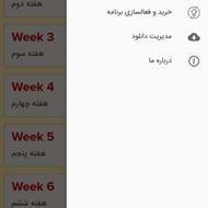 پارتنر زبان انگلیسی