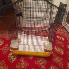 قفس بزرگ فروشی