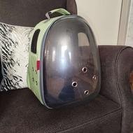 کوله حمل گربه و پرنده