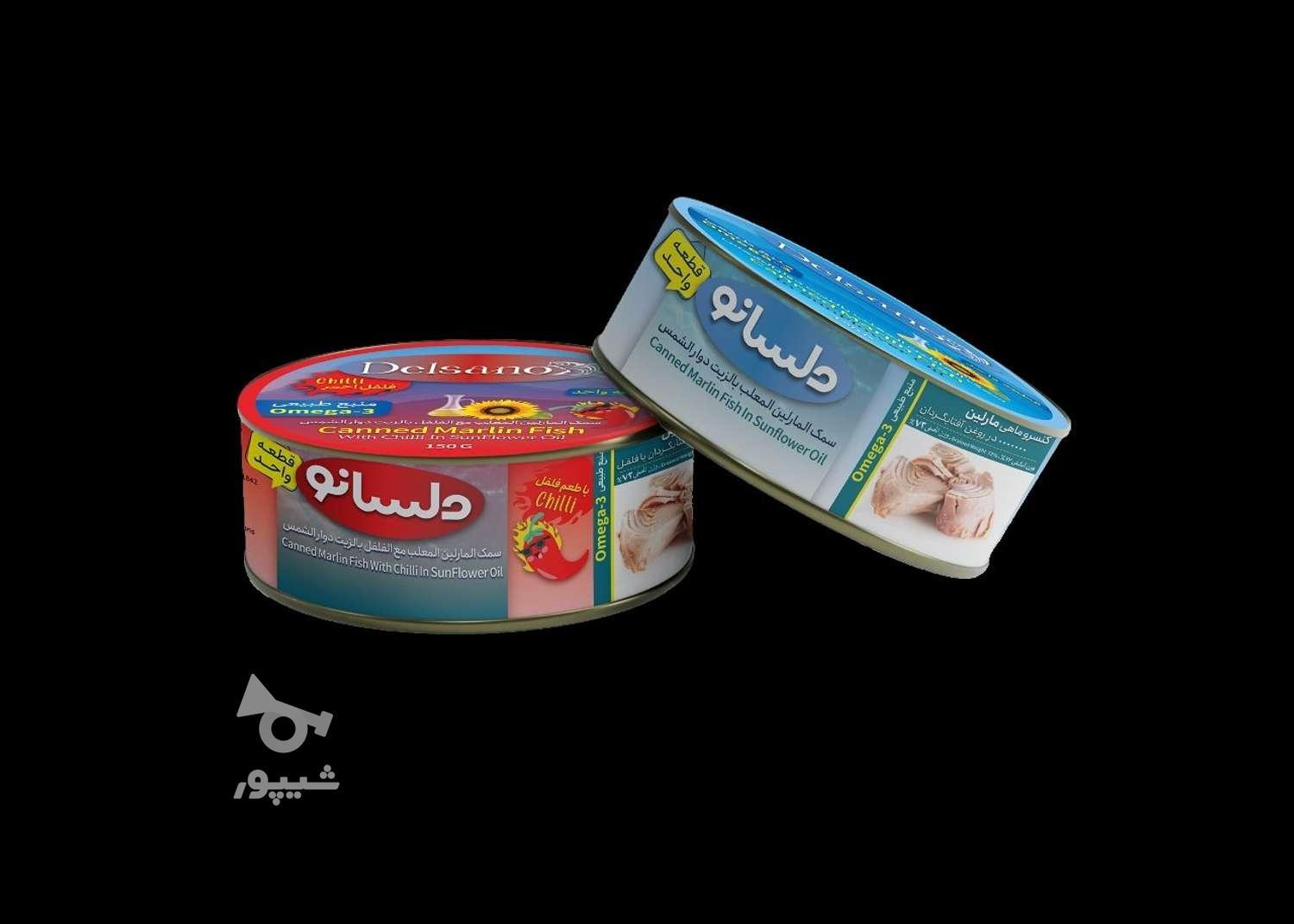 فروش کنسرو ماهی تون در روغن دلسانو