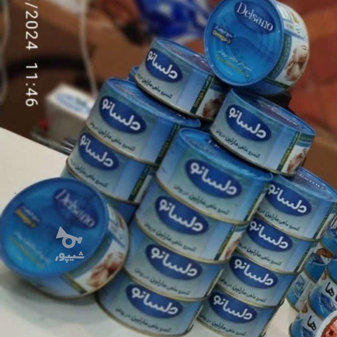 فروش کنسرو ماهی تون در روغن دلسانو