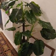 گل مصنوعی با گلدان