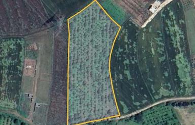 باغ گلابی (معاوضه و تهاتر)