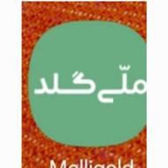 کسب وکار طلا هدیه ملی گلد 10سوت