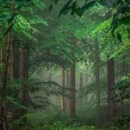 ثروث اومده بجنبید