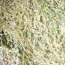 فروش یونجه انبار