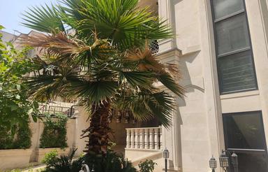 100 متر ،آماده تحویل