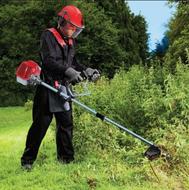 علف هرز، منزل، باغ..