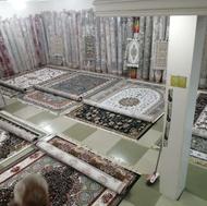 فروش ویژه فرش ارزان