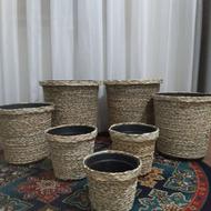 گلدون حصیری