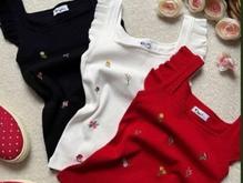 تولیدی جانان جان در شیپور