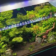 آکواریوم درب دار متوسط با تجهیزات کامل