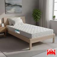 خوشخواب طبی و طبی فنری