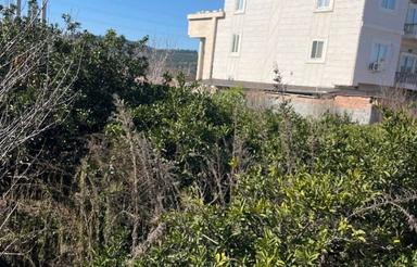 فروش زمین مسکونی 250 متر در مهدشت