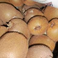 کیوی هایوارد سبز خوش خوراک