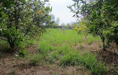 زمین به متراژ 400متر