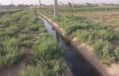 زمین باغی و باغچه