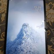 تبلت شیامی استثنایی