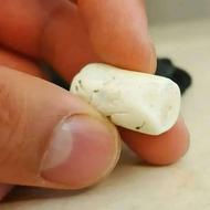 خرمهره اصل استخوان تکی