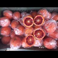 فروش پرتقال خونی توسرخ