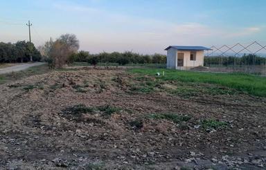 فروش 560 متر زمین کشاورزی