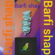 بازی انواع طوطی سانان