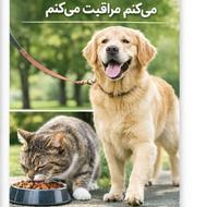 با عشق از سگ و گربه‌تون مراقبت می‌کنم