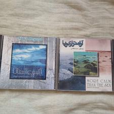 دو عدد سی دی موسیقی