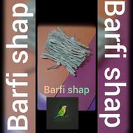 سرگرمی انواع طوطی سانان