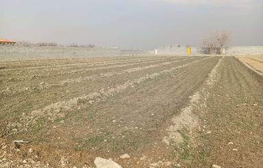 1500 متر زمین کشاورزی