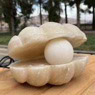 آباژور صدف نمکی چراغ‌ دار – زیبایی، آرامش و نور ملایم