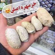 خرمهره اصل پاکستان درجه 1لانه زنبور