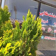 املاک دشت طلایی . دماوند جاده وادان