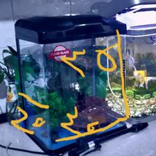 آکواریوم 20×30ارتفاع35 شرکتی جلو خم درب دار همراه با تسویه