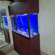 آکواریوم‌سالم