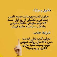 جذب فروشنده یا بازاریاب در شرکت بزرگ کاله