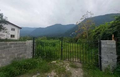 300 متر رامسر مناسب برای ساخت جنگلی