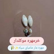 مهره مار اصل کاملا جفت