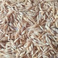 جو ایرانی درجه یک