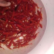 ماهی قرمز دوبند سه بند و چهاربند جهت صید ماهیان شکاری